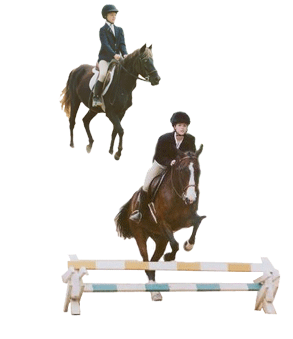 English Horseback Riding lessons & Summer Camps NC SC